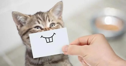 ɵΪθܻӭ