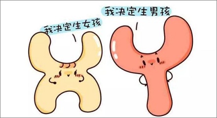 ̶ʧ Y Ⱦɫ壿